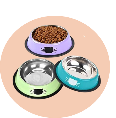 Cat Feeders